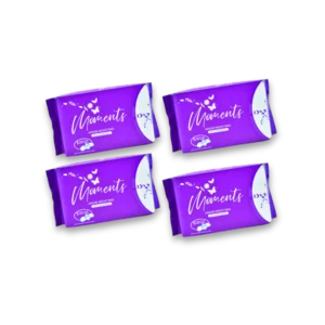 3+1 Moments Anion Pad PROMO